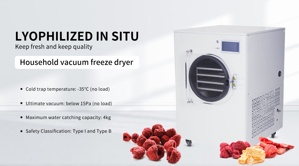 HFD-4 home lyophilization homemade food freeze dryer household vacuum pump freeze dryer