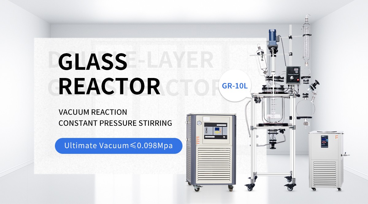 10L Mini Jacketed Fermenter Bioreactor Glass Reactor