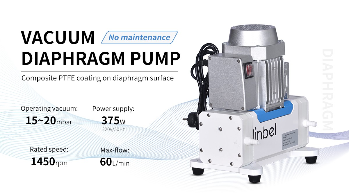 Diaphragm vacuum pump
