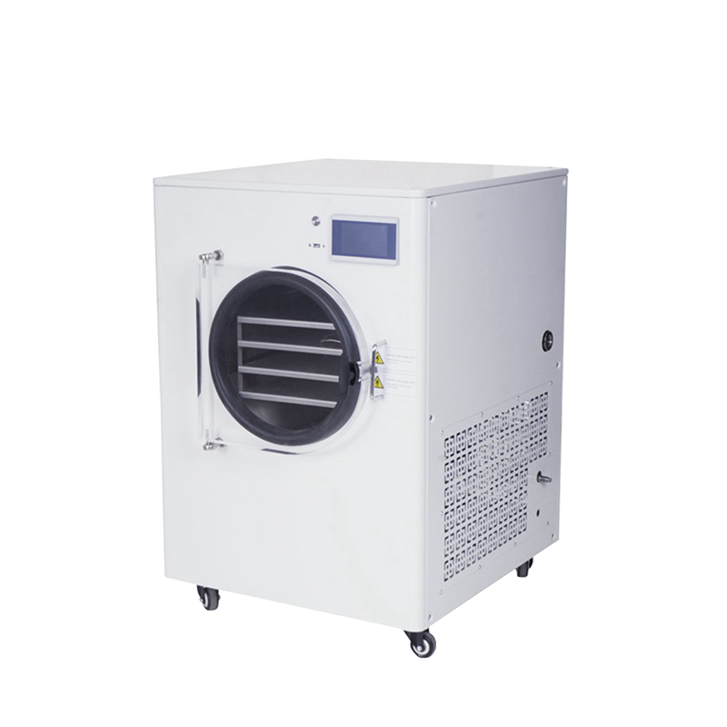 Household vacuum pump freeze dryer