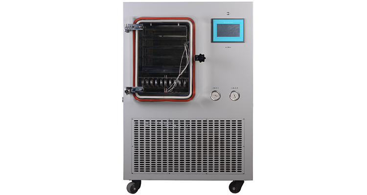 Lab Vacuum Freeze Dryer